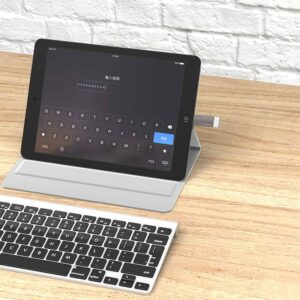 ORICO USB Type-C to USB-A 3.1 ChargeSync On The Go Adapter - Silver